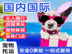 三义航空运输国际宠物托运 【国